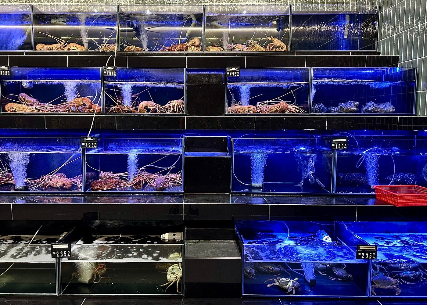 Orkid Ria Seafood tanks, 2026