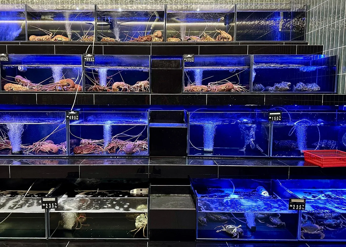 Orkid Ria Seafood tanks, 2026